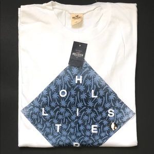 Hollister t-shirt (NWT)